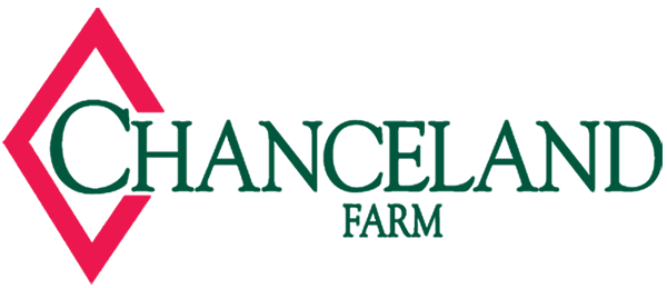 Chanceland Farm | Quality from the beginning